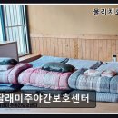 대야약국 | 딸래미주야간보호센터 다채로운 프로그램과 전문 영양 식단