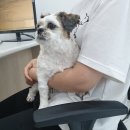 한양한방동물병원 이미지