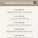 결혼식 전문 축의대 대행 업체 추천 ‘메리쥬빌레’ 내돈내산 계약 후기 - 추천인코드/짝꿍코드