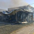 금정수산 이미지