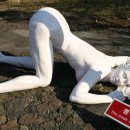 불로막걸리