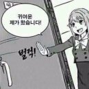 홍찌 이미지