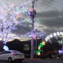 보성장식 이미지