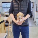 바나개 강아지 고양이 마포점 이미지