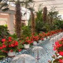 더레드하우스 베이커리카페 이미지