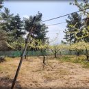 오계리농장 이미지