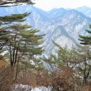 삼거리축사 이미지