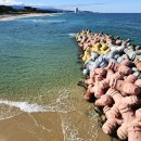 동해바다 이미지