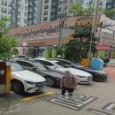 마포 망원 동물약국 이미지