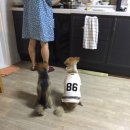 허그안리트릿 이미지