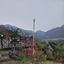 오렌지 꽃향기는 바람에 날리고 | 봉화 &lt;오렌지꽃향기는 바람에 날리고&gt;를 다시 찾다