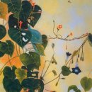 Glory Star 이미지