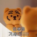 일상운동