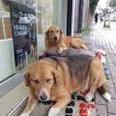 도움약국 이미지