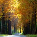 경상남도수목원주차장 이미지