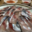 동성수산횟집 | 제주 모슬포 맛집 동성수산 횟집에서 먹은 후기