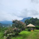 꽃향기펜션 | 운주동굴펜션 낮에는 신나는 물놀이, 밤에는 감성 가득한 불빛 1박2일 휴양지로 최고인 곳