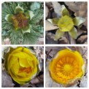 냉천공원 이미지