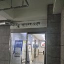 더원고양이동물병원 | 인천 24시 더원 동물병원 강추 내돈내산 리뷰 과잉진료 x 영상 촬영 ㅇ 슬개골 수술 전문