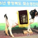 충북낙농업협동조합 이미지