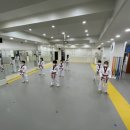 용인대 한라태권도 이미지