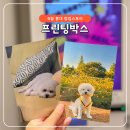 프린팅박스라운지홍대점 | 9월 홍대 팝업스토어 놀거리 프린팅박스 프박 위치