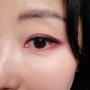 코디애견샵 | 끝! 질스튜어트 뉴욕 트위드 원피스 + 셀린느 트위드 자켓 + 샤넬백 + 까르띠에 발롱블루까지 풀장착 코디