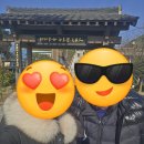 수정건어물 - 진주시 진주대로1080번길 13 | [국내/포항] 포항 여행 솔직 후기 :: 포항 가볼 만한 곳 추천, 호미곶, 구룡포 일본인 가옥거리, 죽도...