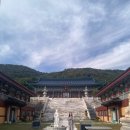 [육지장사 템플스테이 대만족 후기] 산 속 사찰 육지장사에서의 인생 첫 템플스테이🪷 (가격 / 일정...