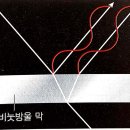 빛의파동 티스토리