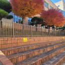 마산중앙초등학교 이미지