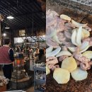 위오린 | 남양주 맛집 약수촌 돌판 위에 구워먹는 오리고기 후기