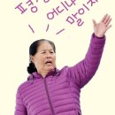 다복민박 이미지