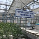 (주)토마토연구소 이미지