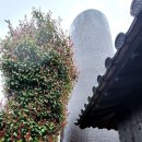 신미술관 이미지