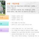 분당영덕여자고등학교 이미지