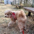 창원 삼정자동 마애여래좌상 | 창원 삼정자동 마애여래좌상 (경남 유형 문화재 98호)