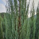 태림농원 이미지