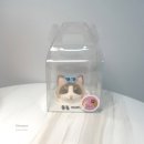 멍프레시 이미지