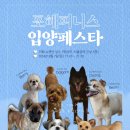 💙 9월 7일 입양페스타에 초대합니다💙 (서울 성수) 이미지