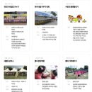 음성반다비국민체육센터 | 2026 음성품바축제 일정 총정리 공연 체험 먹거리까지