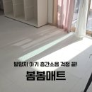 봄봄제주 - 제주시 중앙로 365 | 16개월 아기 층간소음 걱정 끝! 봄봄매트 내돈내산 시공 후기 (갤럭시화이트)