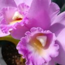 한시열농장 이미지