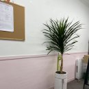 달려가는디저트달디(상동점) 이미지