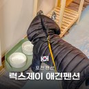 포천 럭스제이 애견펜션 이미지