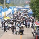 화성 뱃놀이축제 네이버블로그