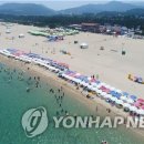 동해시-13 이미지