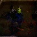 자등 4리 이미지