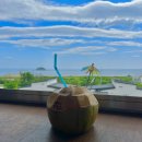 광포반점 이미지