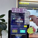 제주아트 서커스 | (제주 가볼만한 곳) 스릴 넘치는 제주 아트서커스 솔직후기